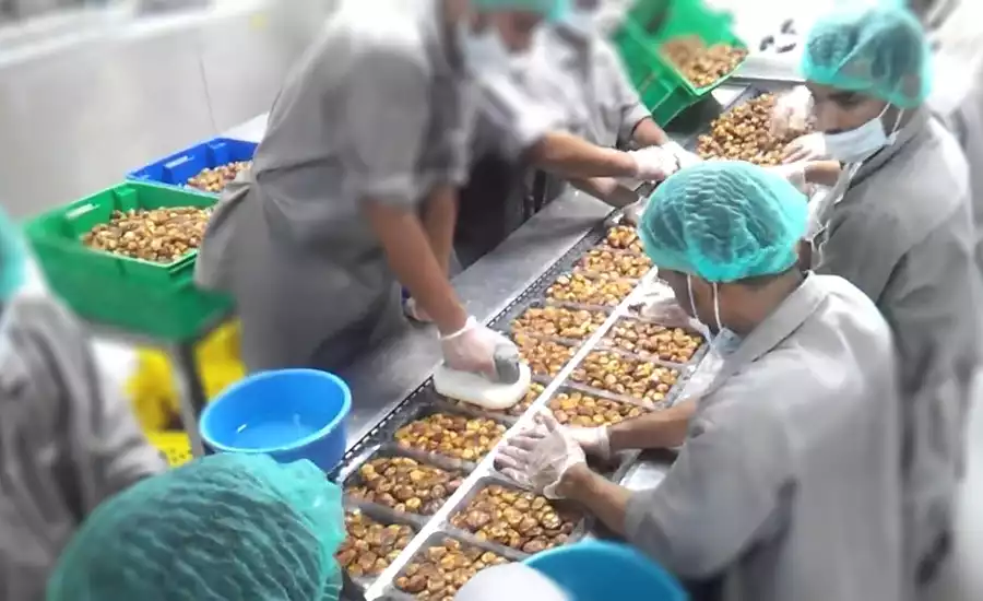 دستگاه بسته بندی خرما دستگاه بسته بندی خرما