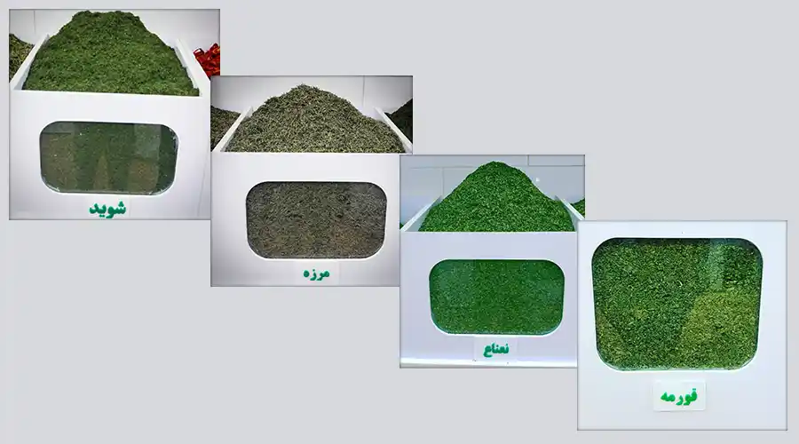 طرح توجیهی سبزی خشک کنی سبزی خشک