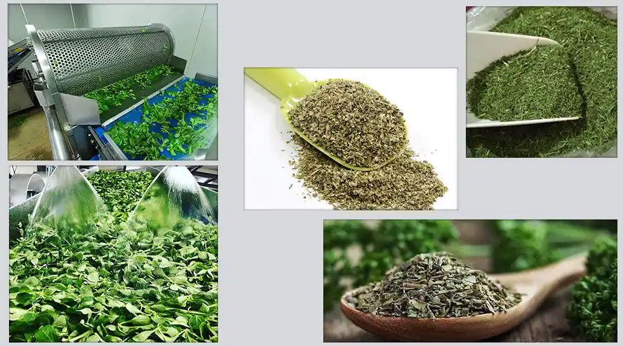 طرح توجیهی سبزی خشک کنی طرح توجیحی سبزی خشک کنی