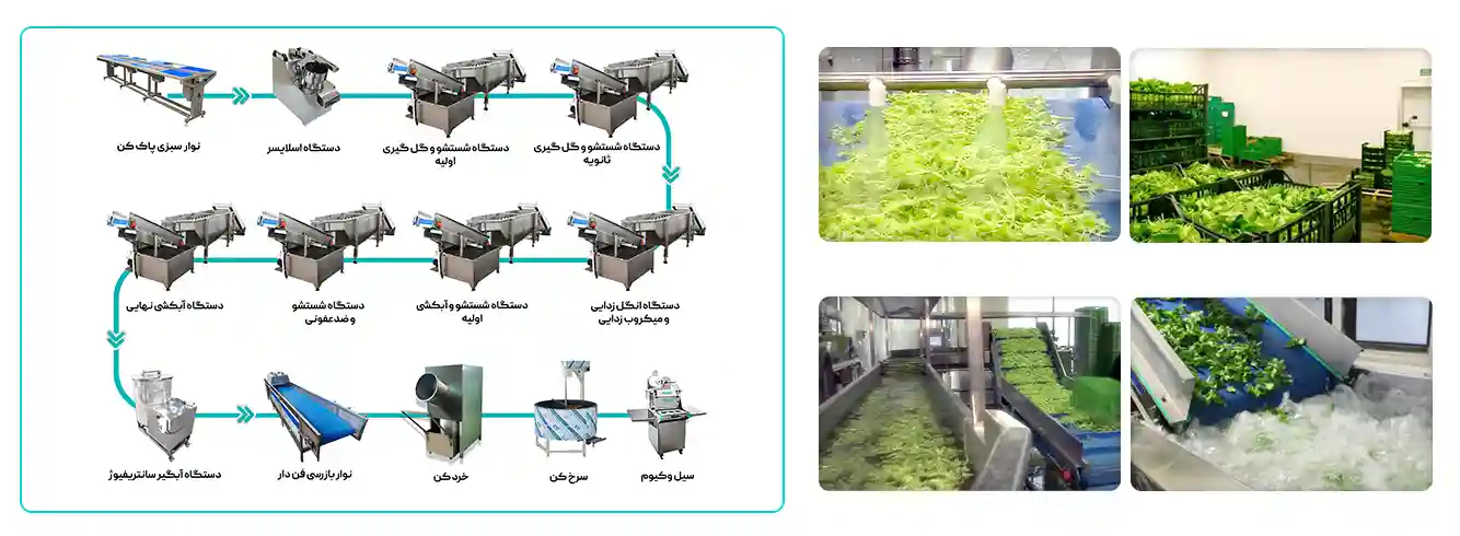 خط شستشوی سبزی های برگی (شستشو تا بسته بندی سبزیجات) copy