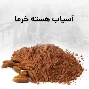 دستگاه آسیاب هسته خرما