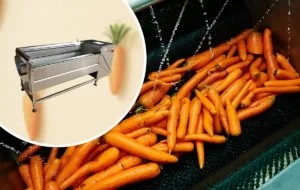 دستگاه شستشوی هویج
