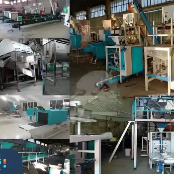 دستگاه بسته بندی حبوبات و خشکبار