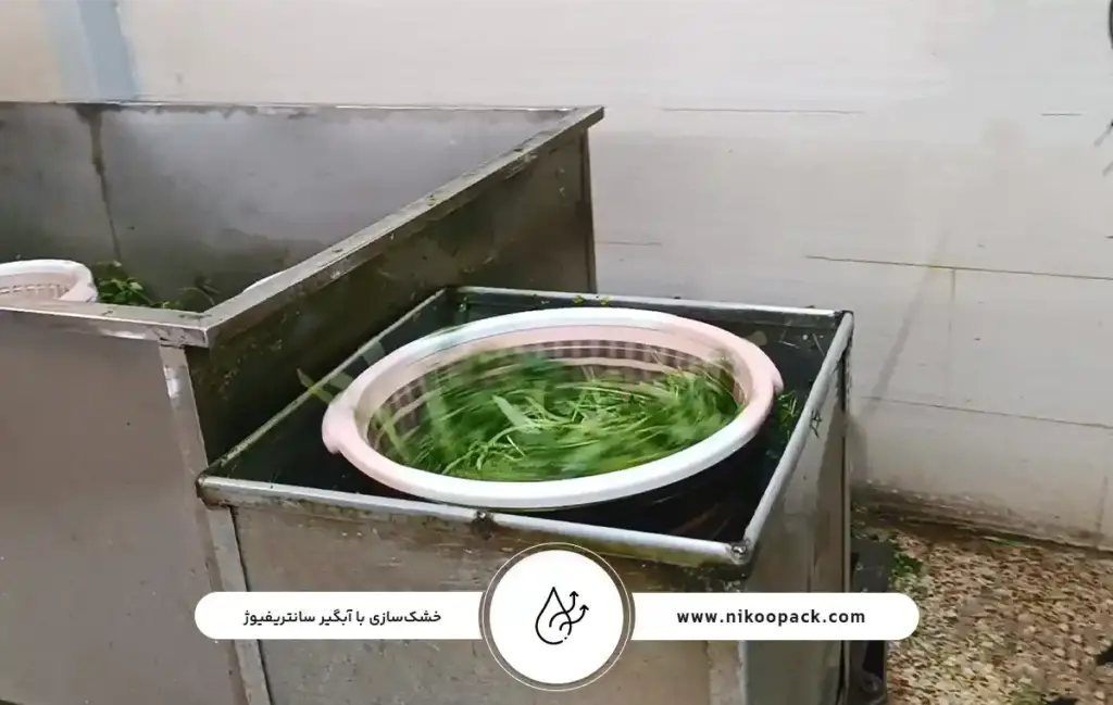 راهنمای شستشوی سبزیجات مطابق با استانداردهای وزارت بهداشت ج