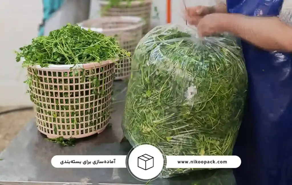 راهنمای شستشوی سبزیجات مطابق با استانداردهای وزارت بهداشت ر