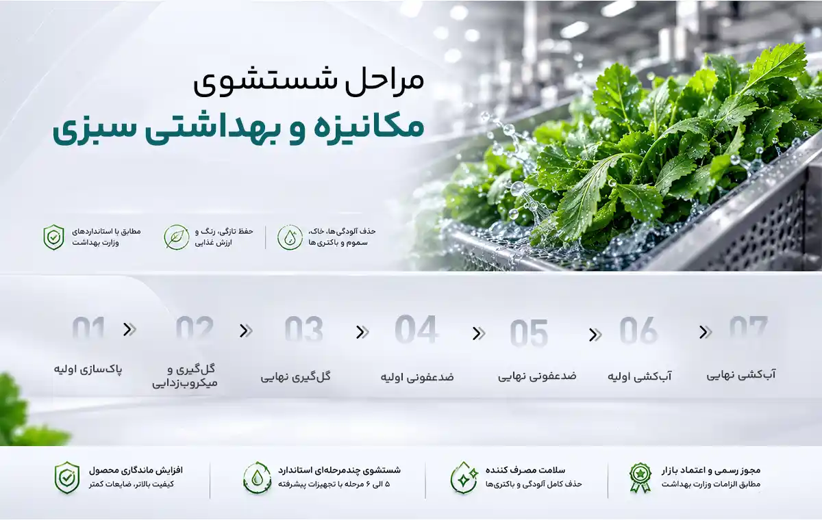 راهنمای شستشوی سبزیجات مطابق با استانداردهای وزارت بهداشت دستورالعمل شستشوی سبزیجات وزارت بهداشت