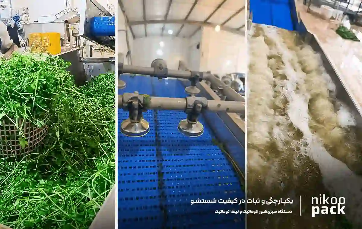 سبزی شور صنعتی