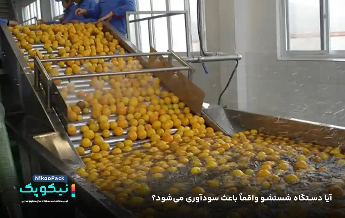 دستگاه شستشو پرتقال دستگاه شستشوی میوه