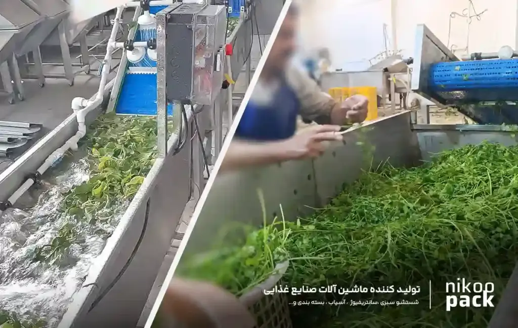 دستگاه سبزیشور اتوماتیک و نیمهاتوماتیک تفاوت شستشوی اتوماتیک و نیمه اتوماتیک