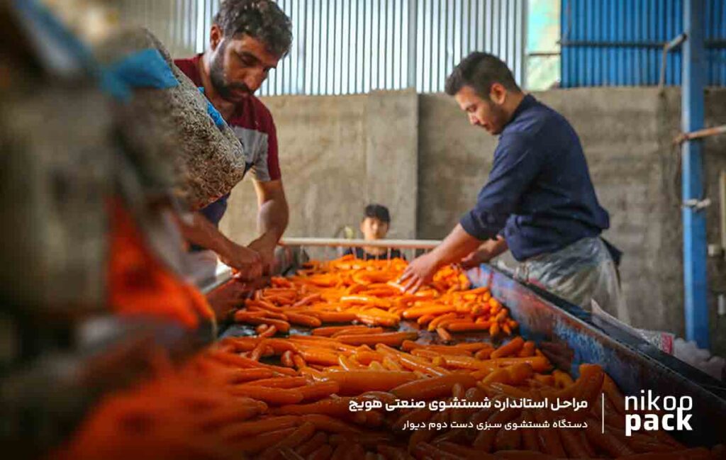 مراحل استاندارد شستشوی صنعتی هویج