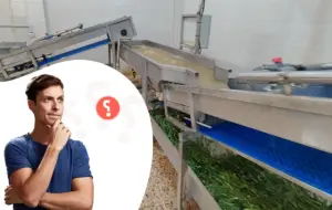 دستگاه شستشوی سبزی