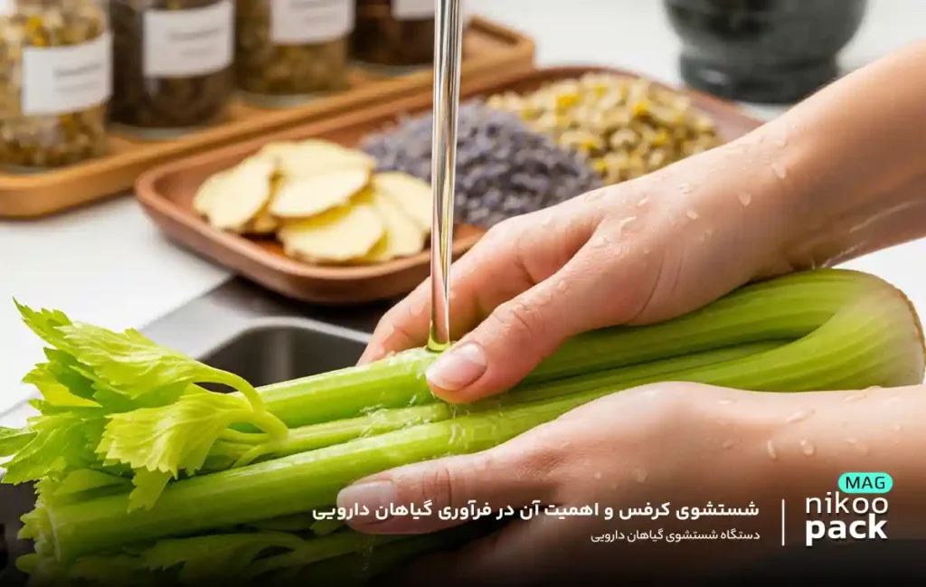 دستگاه شستشوی گیاهان دارویی شستشوی کرفس و اهمیت آن در فرآوری گیاهان دارویی