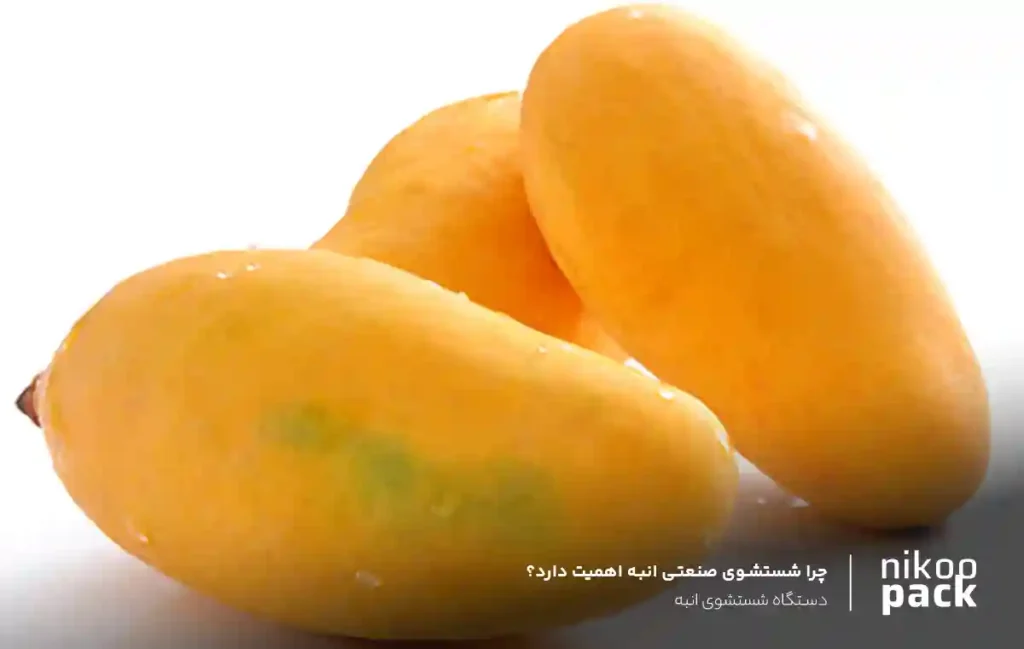دستگاه شستشوی انبه چرا شستشوی صنعتی انبه اهمیت دارد؟