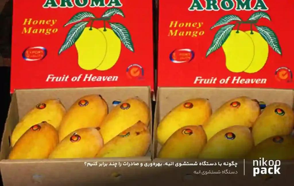دستگاه شستشوی انبه چگونه با دستگاه شستشوی انبه، بهرهوری و صادرات را چند برابر کنیم؟