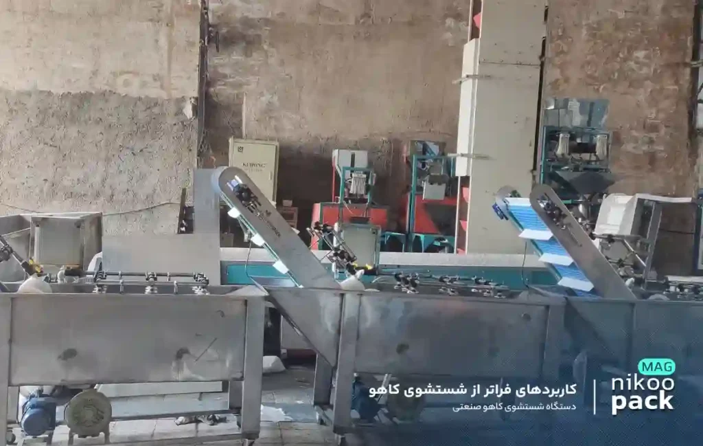 دستگاه شستشوی کاهو صنعتی کاربردهای فراتر از شستشوی کاهو