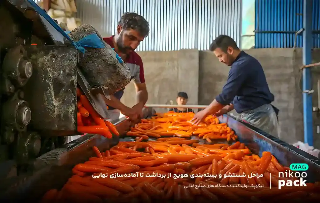 از برداشت تا بسته بندی هویج Blog Cover copy