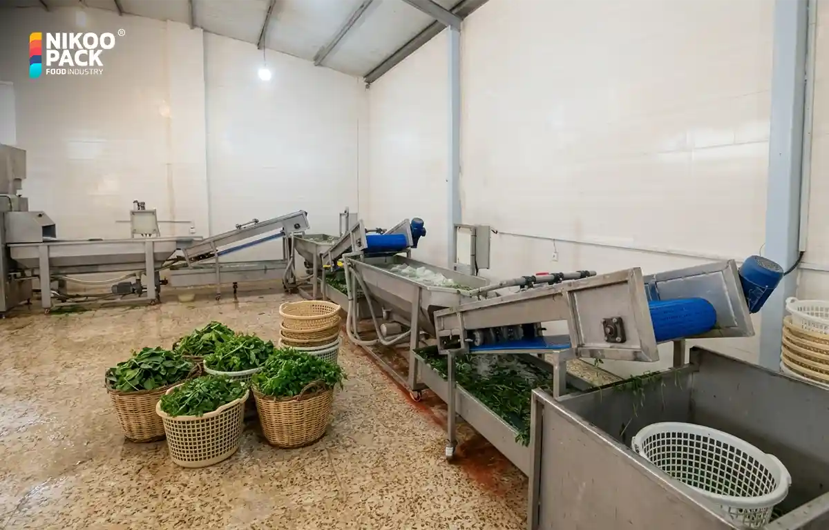 دستگاه شستشوی سبزی صنعتی