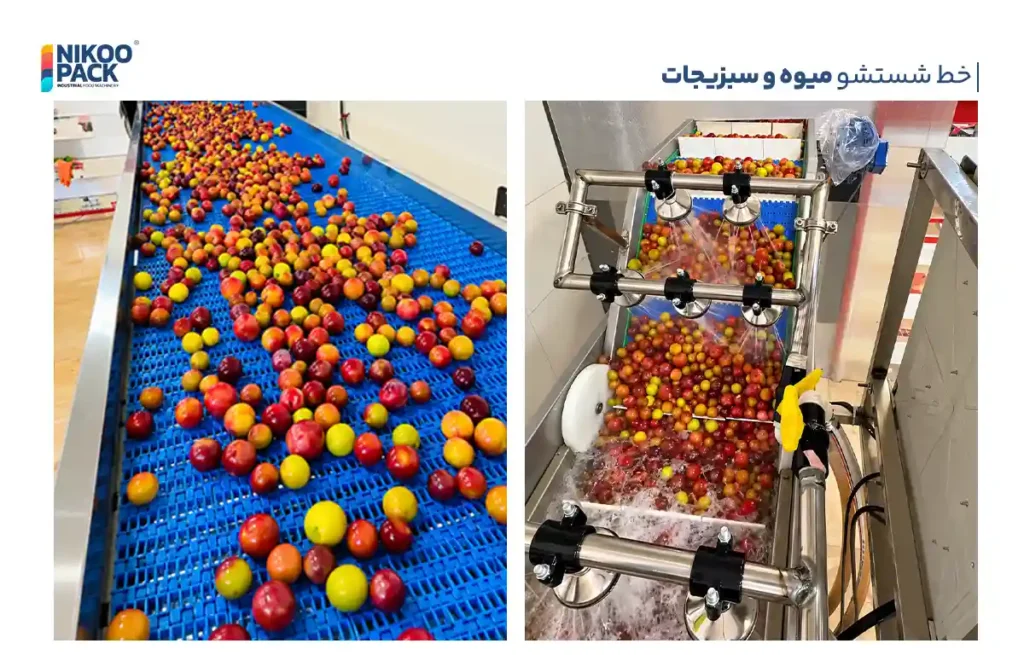 شستشوی میوه و سبزی